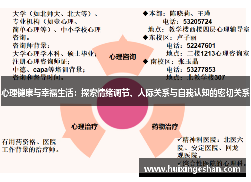 心理健康与幸福生活：探索情绪调节、人际关系与自我认知的密切关系